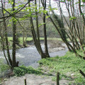 River Ceiriog
